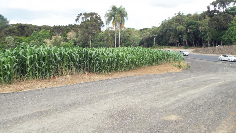 TERRENO PARA VENDA